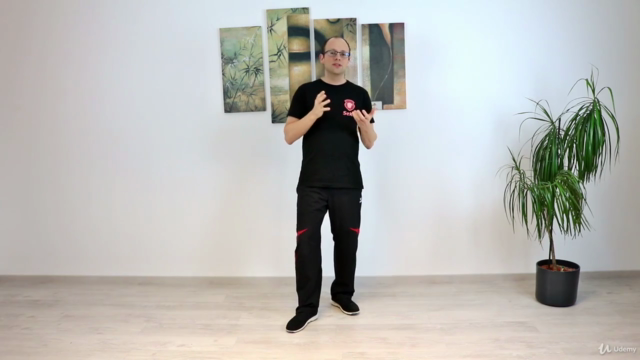 Wing Chun / JKD: Trapping & Chi Sao – Screenshot 3