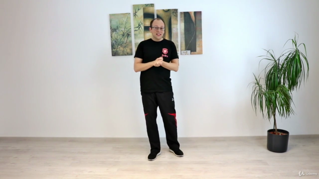 Wing Chun / JKD: Trapping & Chi Sao – Screenshot 4