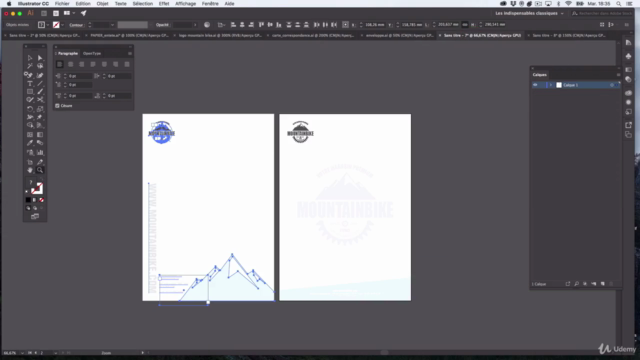 Adobe ILLUSTRATOR CC 2020 | 15 Ateliers Pratiques / créatifs – Screenshot 1