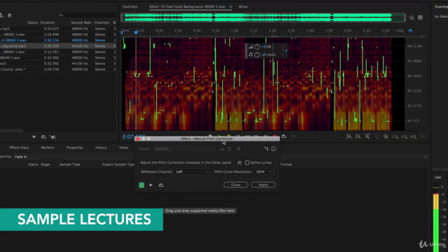 Adobe Audition CC: The Beginner's Guide to Adobe Audition – Screenshot 1
