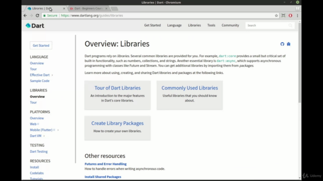 Dart - Intermediate Course – Screenshot 4