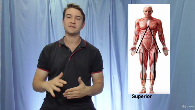 Remedial Massage - Super Simple Remedial Treatment – Screenshot 3