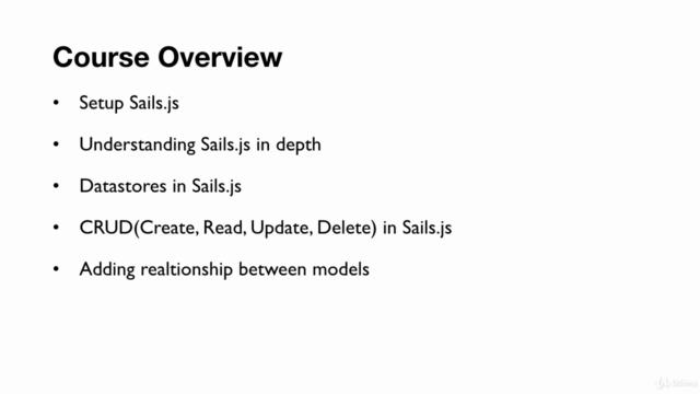 Node.Js: Building REST APIs with Sails.js(v1.0) – Screenshot 2