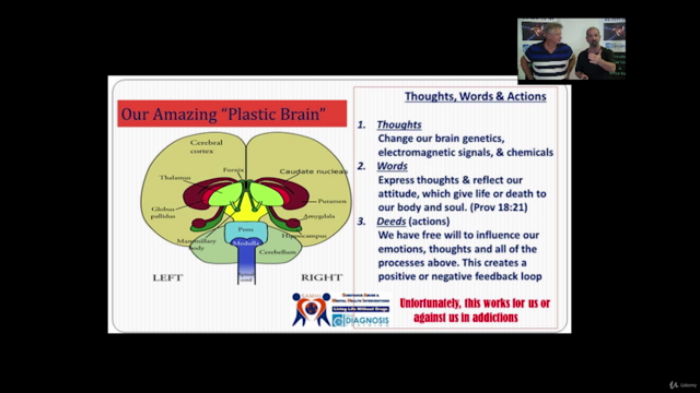 Addiction & Mental Health (Dual Diagnosis) Integrative 12hrs – Screenshot 2