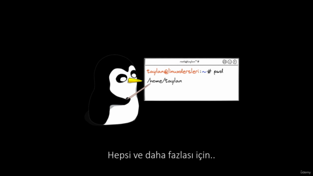 Kali Linux ile Sıfırdan Temel Linux Eğitimi – Screenshot 4