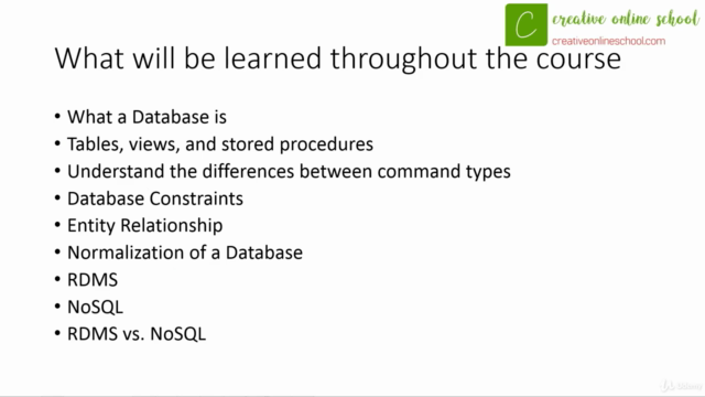 Basics of Database Design & Development - Screenshot_01