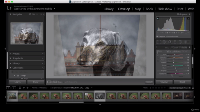 Adobe Lightroom 6/CC básico para Fotógrafos - Screenshot_03