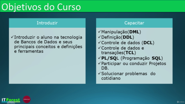 Curso Oracle Developer SQL e PL/SQL. - Screenshot_02