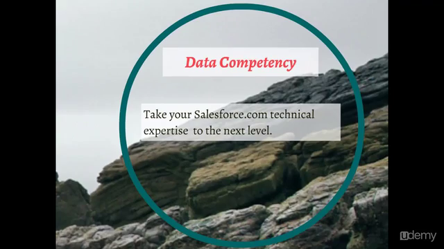 Salesforce.com Data Migration With Ease – Screenshot 4