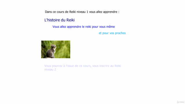 Formation au Reiki - Screenshot_01