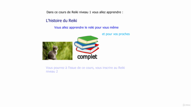 Formation au Reiki - Screenshot_02