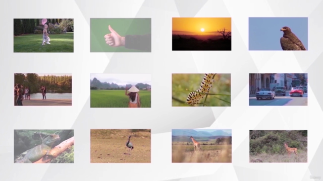 Movavi Video Editor: Movavi From Beginner to Expert. 2023 – Screenshot 3
