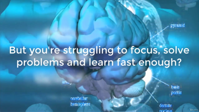 Increase Brain Power: Neuroscience for Leadership/Management – Screenshot 1