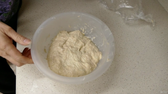 Sourdough Bread Baking 102 - Exploration – Screenshot 1