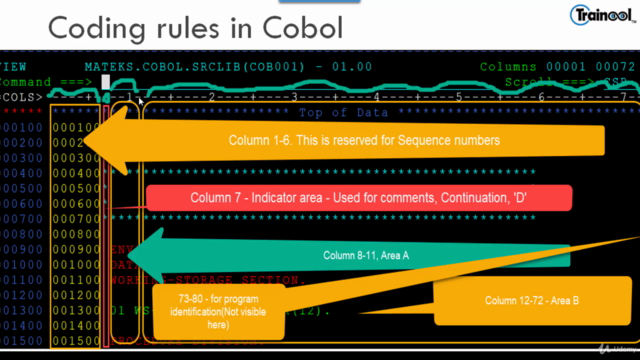 Mainframe: The Complete COBOL Course From Beginner To Expert - Screenshot_01