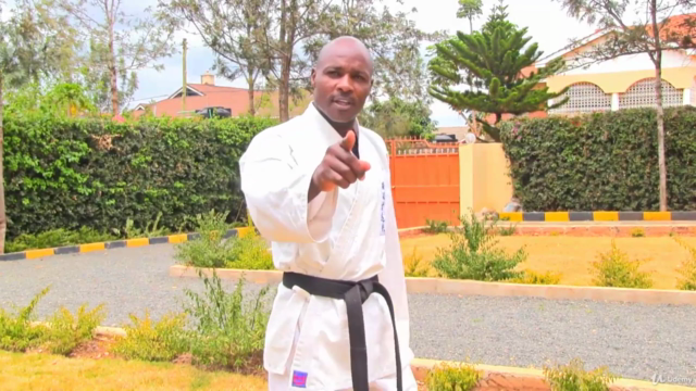 Self Defense Epitome:The Ultimate Online self defense course – Screenshot 2