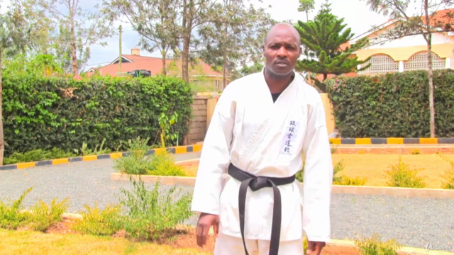 Self Defense Epitome:The Ultimate Online self defense course – Screenshot 4