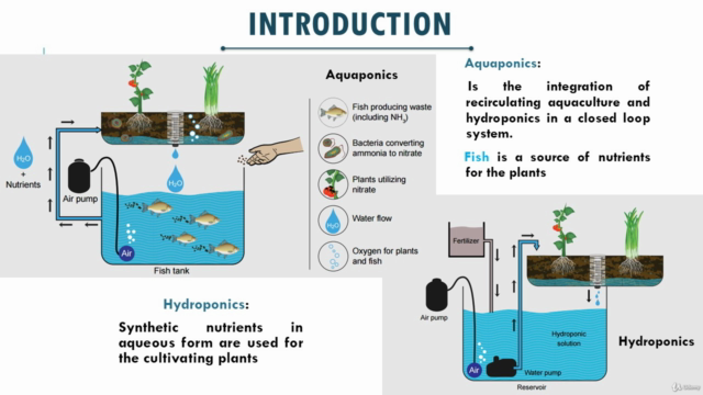 Basics of Aquaponic System Farming and How to Design – Screenshot 1