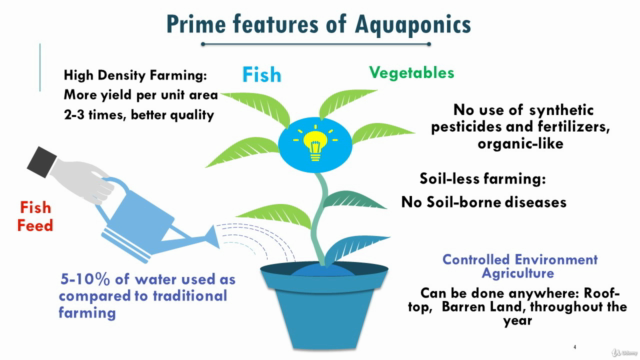 Basics of Aquaponic System Farming and How to Design – Screenshot 2