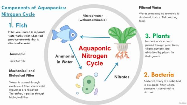 Basics of Aquaponic System Farming and How to Design – Screenshot 3