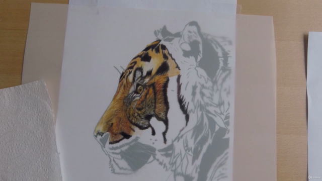 Tiger in colored pencils on drafting film – Screenshot 3