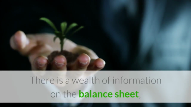 Accounting 101: Understanding & Analyzing Balance Sheets – Screenshot 2