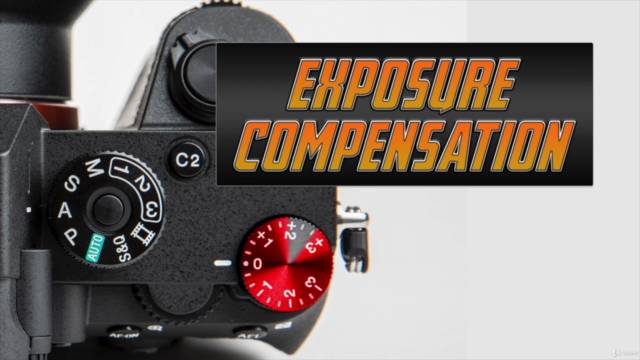 Sony A7Riii / A7iii Crash Course – Screenshot 3