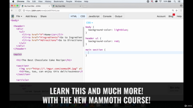 The Ultimate Coding Bootcamp: Make Your First Websites Today – Screenshot 3
