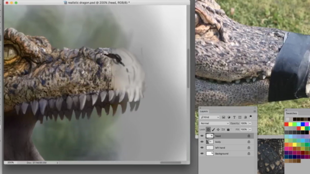 How to digitally draw/paint a realistic Dragon in Photoshop – Screenshot 1