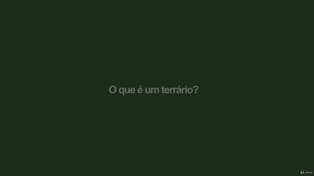 Terrários fechados com a técnica da água – Screenshot 3