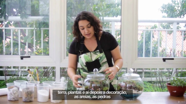 Terrários fechados com a técnica da água – Screenshot 4