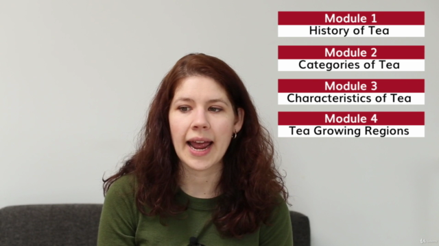 Introduction to Tea – Screenshot 4