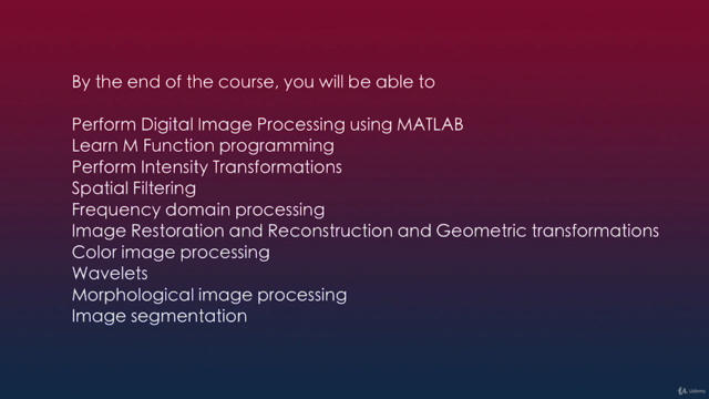 DIP using MATLAB: Digital Image Processing for Beginners – Screenshot 3