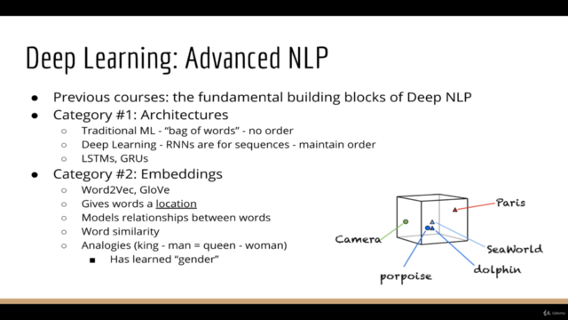 Deep Learning: Advanced Natural Language Processing and RNNs - Screenshot_03