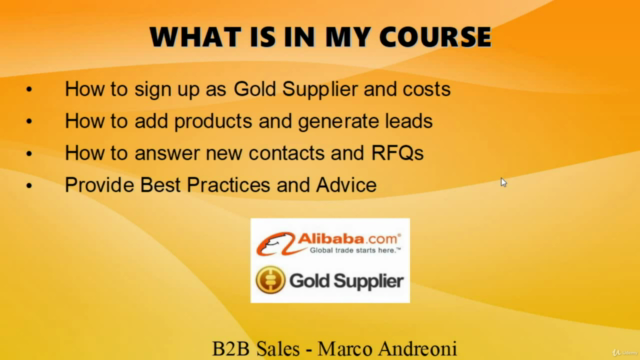 A Guide to B2B Sales as a Gold Supplier on Alibaba – Screenshot 3