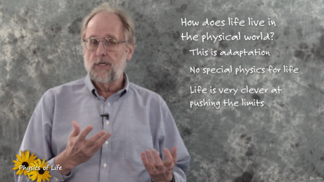 Physics of Life 3. Fluids – Screenshot 2