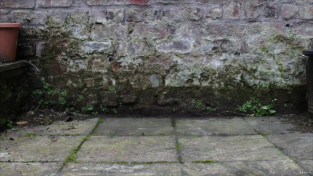Photography - Canon 2000D/1500D/REBEL T7 Camera User Course – Screenshot 3