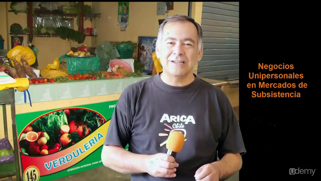 Empresas individuales en mercados de subsistencia – Screenshot 4