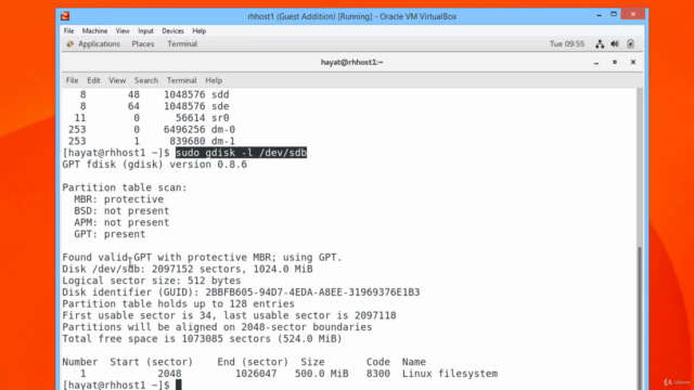 Linux : Linux Administration Advanced Disk Systems Practical – Screenshot 1