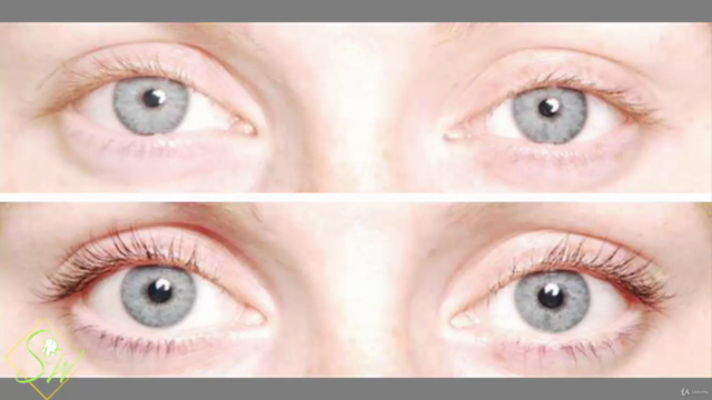 HOW TO: LASH & BROW TINTING – Screenshot 1