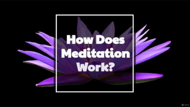 This is How You Meditate and Practice Mindfulness – Screenshot 2