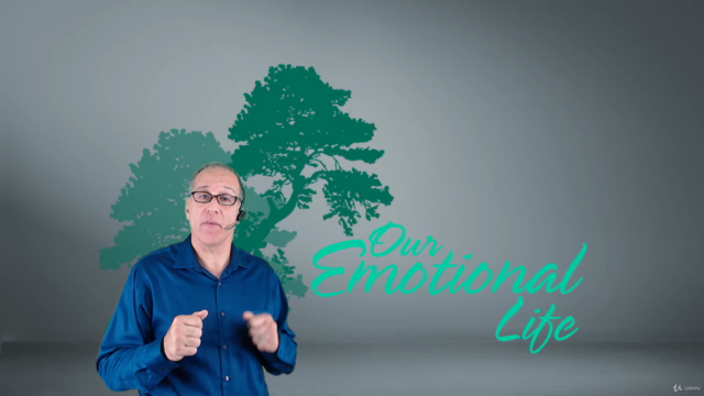 Our Emotional Life – Screenshot 1