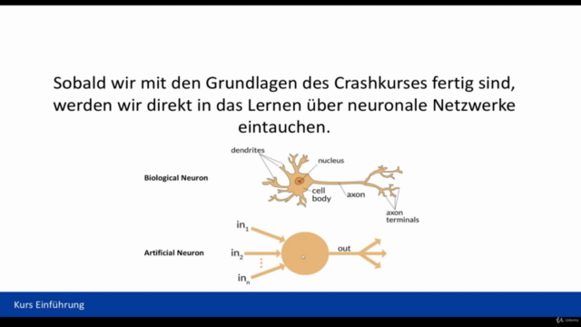 Der große Deep Learning Kurs mit Keras und TensorFlow 2 – Screenshot 2