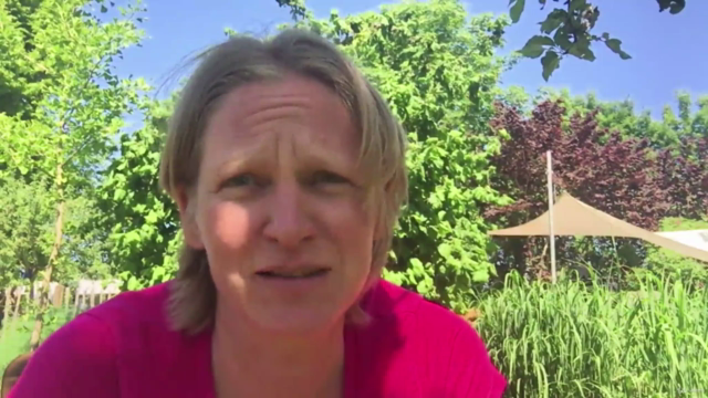 Hilfe bei Allergie und Heuschnupfen – Screenshot 2