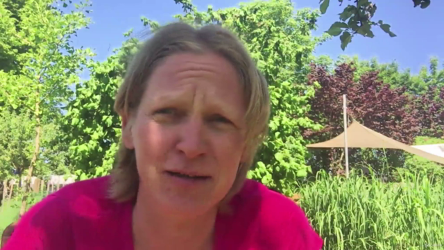 Hilfe bei Allergie und Heuschnupfen – Screenshot 4