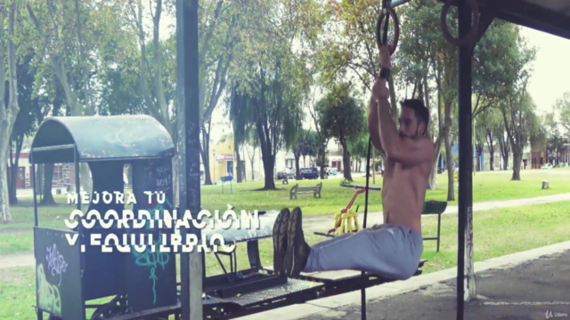 Anillas - Entrenamiento Completo de Calistenia – Screenshot 2