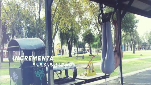 Anillas - Entrenamiento Completo de Calistenia – Screenshot 3