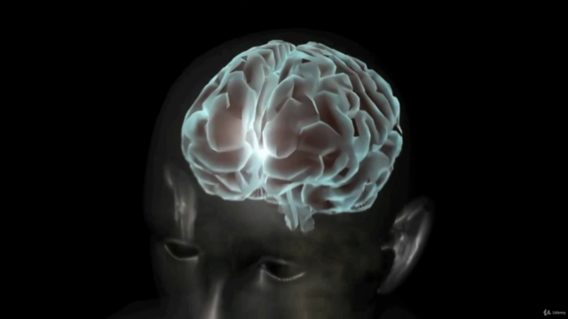 The Quantum Mind: Powerful Concepts in Personal Development – Screenshot 4