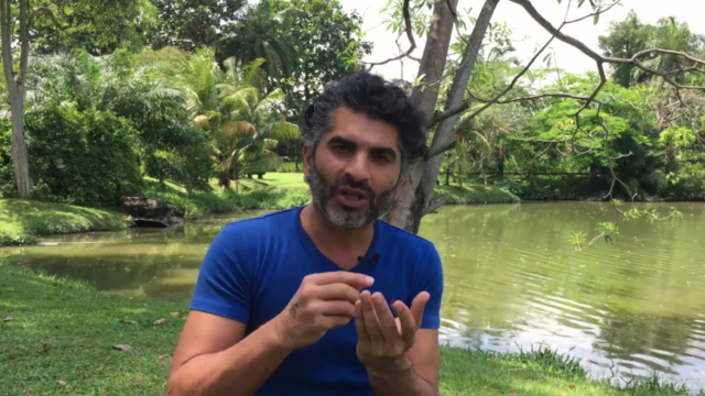 Create your own Vinyasa Yoga Classes to Heal your Emotions – Screenshot 2