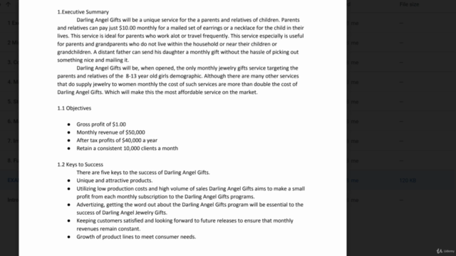 How to Write a Professional Business Plan – Screenshot 1